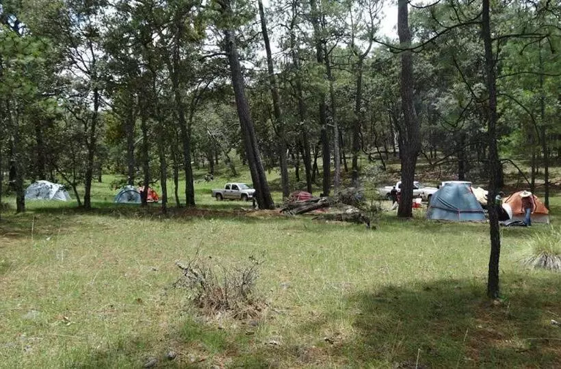 Hotelli Campamento Plan De Los álamos