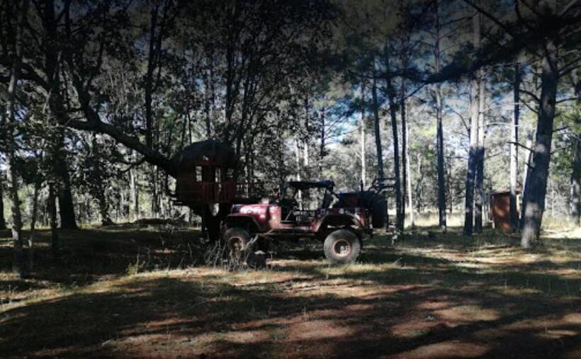 فندق Campamento Plan De Los álamos