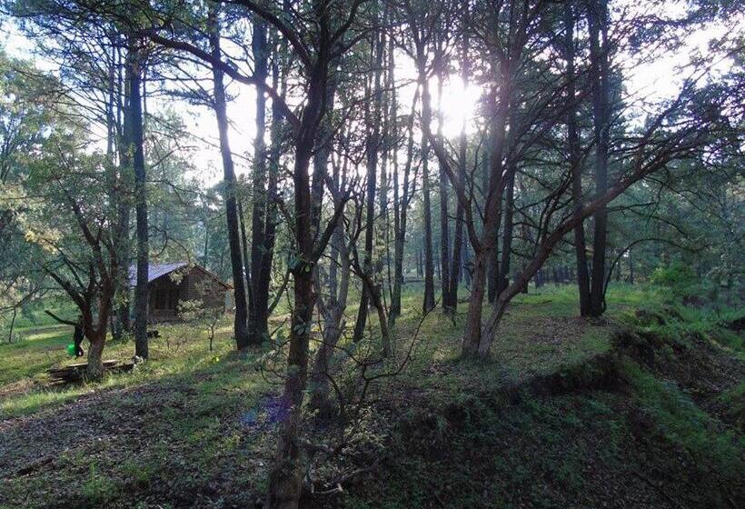 فندق Campamento Plan De Los álamos