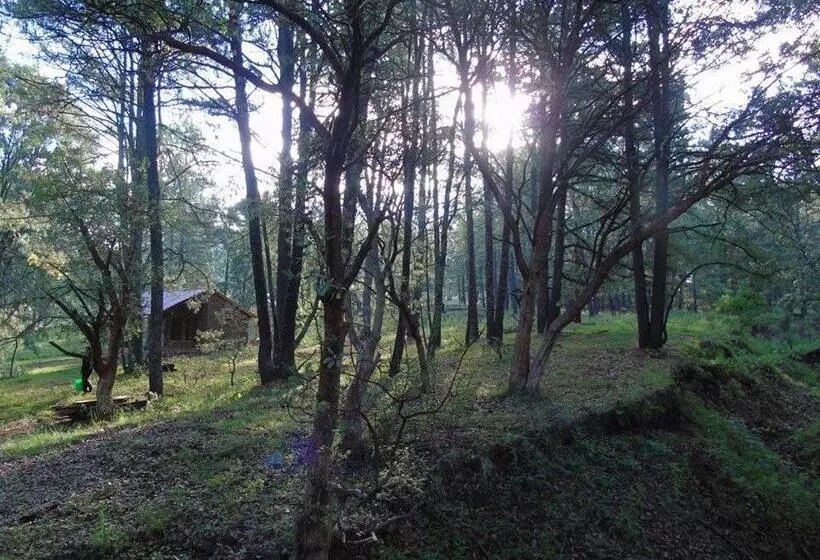 Hotelli Campamento Plan De Los álamos