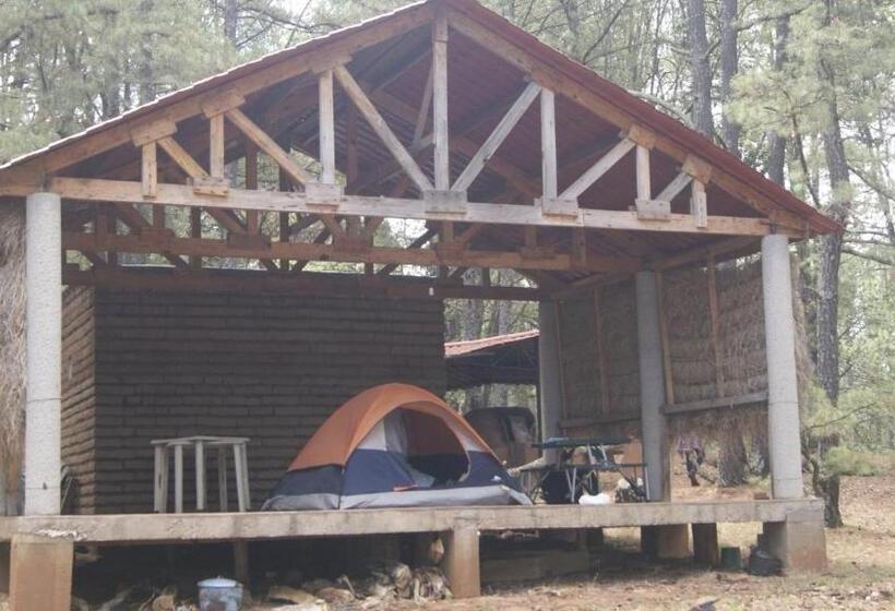 فندق Campamento Plan De Los álamos