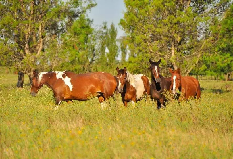 ホテル Los Vagones De Areco