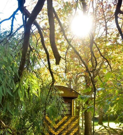 酒店 Los Vagones De Areco