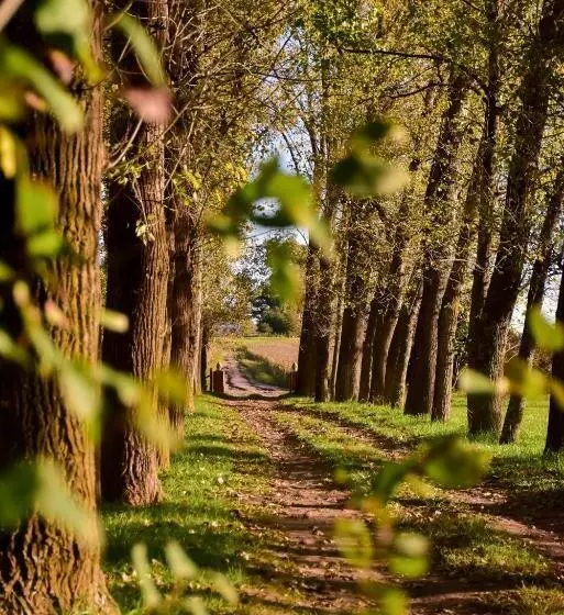 ホテル Los Vagones De Areco