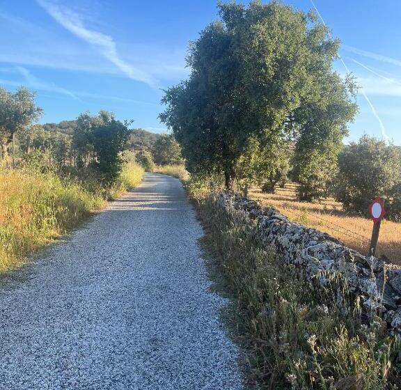 Пансион Casa Pardalitos