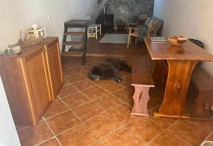 ペンション Casa Pardalitos