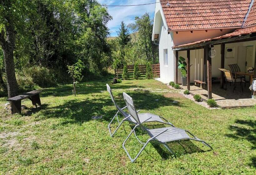 پانسیون Vikendica Andjelka 1 Zlatibor