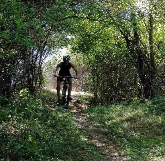پانسیون Vikendica Andjelka 1 Zlatibor