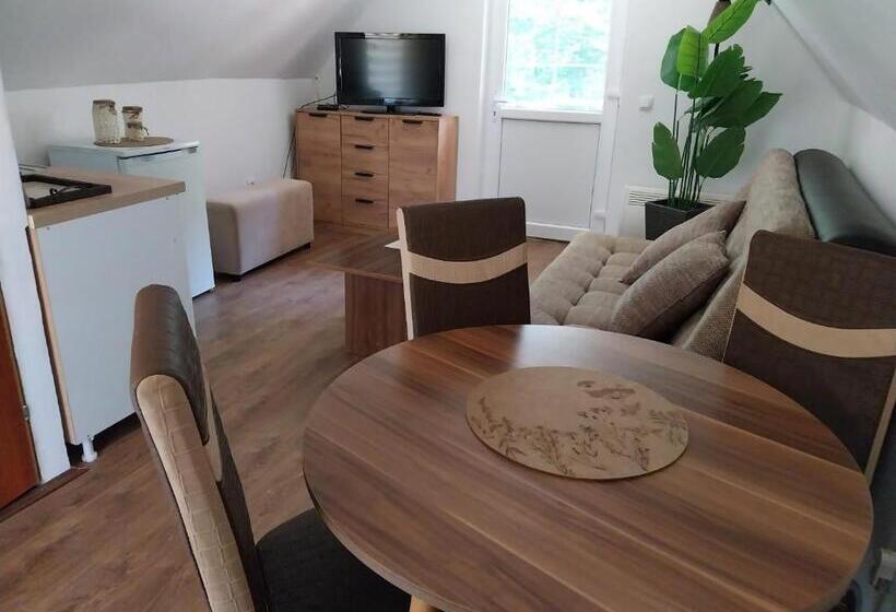 پانسیون Vikendica Andjelka 1 Zlatibor