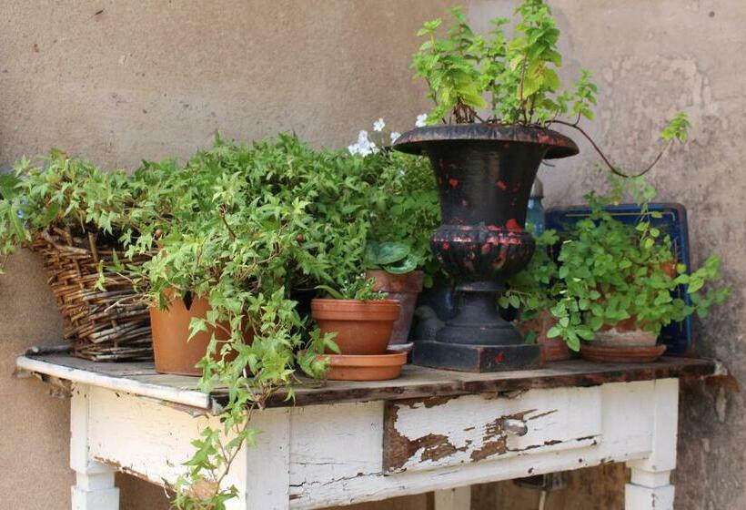 تختخواب و صبحانه Dans Le Jardin De Marie