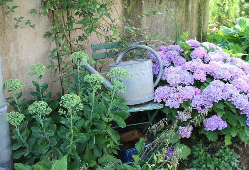 تختخواب و صبحانه Dans Le Jardin De Marie