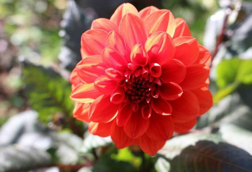 تختخواب و صبحانه Dans Le Jardin De Marie