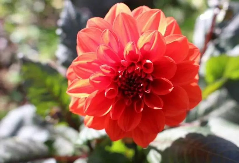 Aamiaismajoitus (B&B) Dans Le Jardin De Marie