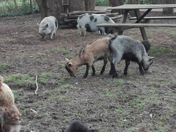 Bed and Breakfast Jolysable