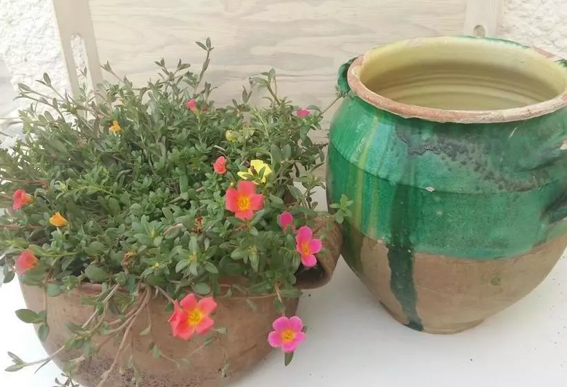 تختخواب و صبحانه Les Chambres D'hôtes De Château Vieux Robin