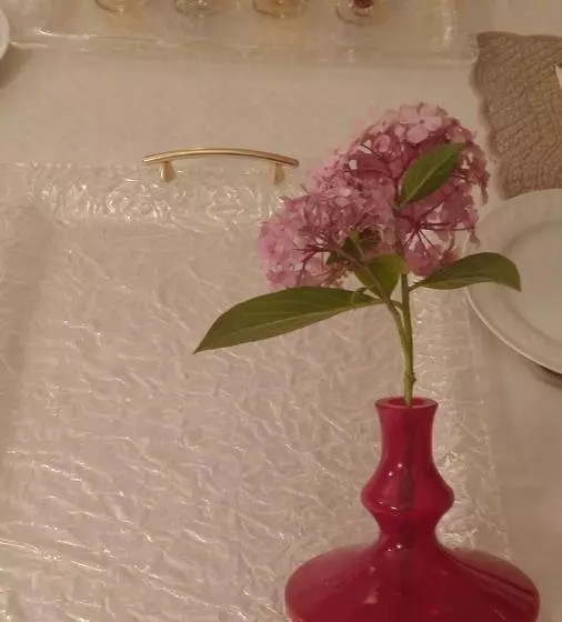 تختخواب و صبحانه Les Chambres D'hôtes De Château Vieux Robin