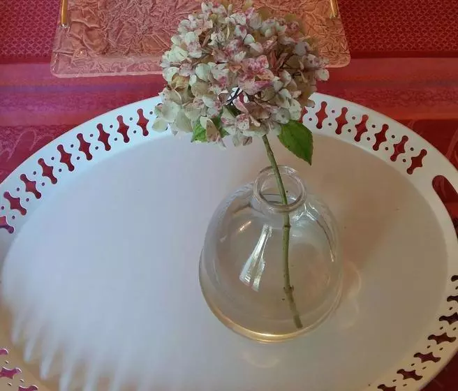 تختخواب و صبحانه Les Chambres D'hôtes De Château Vieux Robin