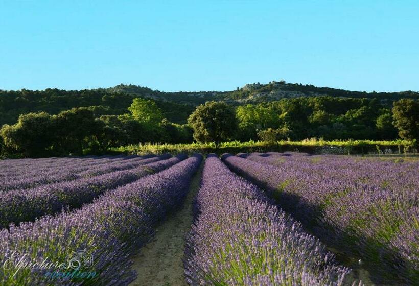 مبيت وإفطار Lo Rastelié