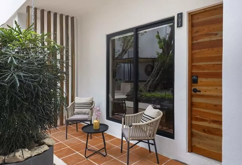 هتل Aalada Playa Del Carmen
