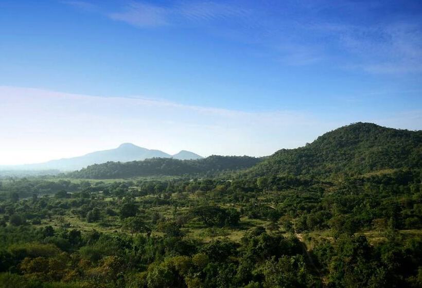 בית מלון כפרי The Peak Residence