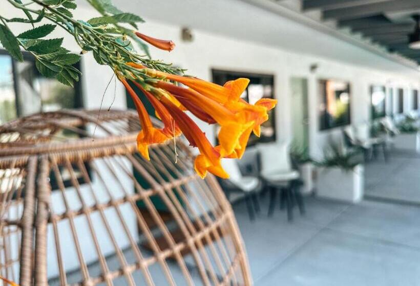 مبيت وإفطار The Yucca