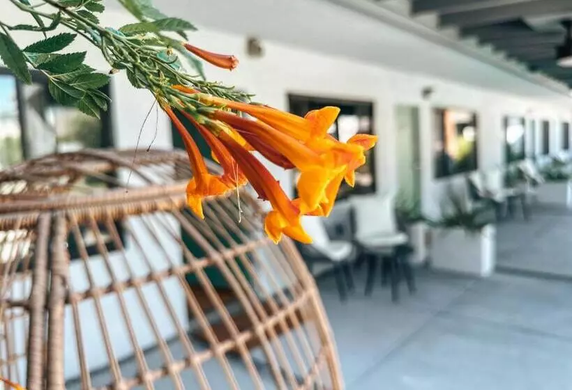 Aamiaismajoitus (B&B) The Yucca