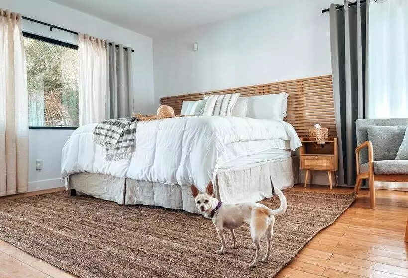 Aamiaismajoitus (B&B) The Yucca