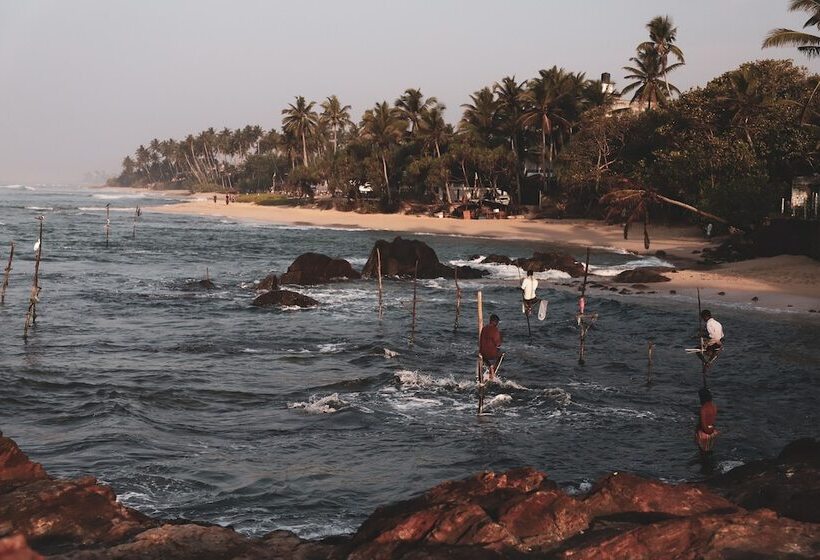 בית מלון כפרי Naomi Beach Resort