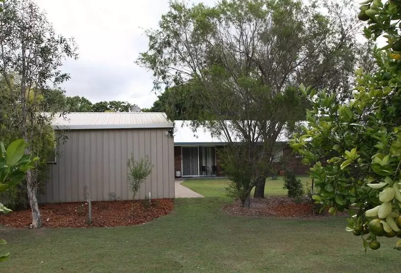 Bottlebrush B&b