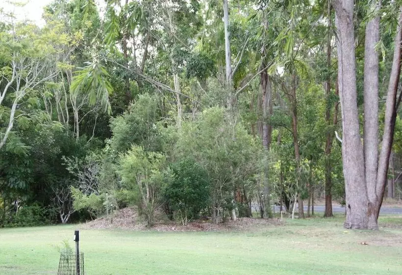 Bottlebrush B&b