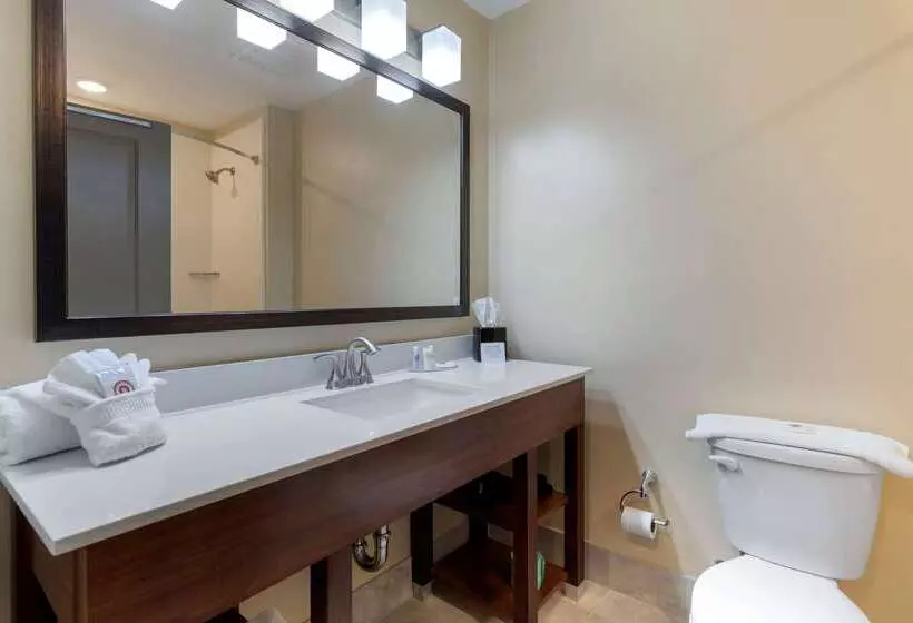ホテル Comfort Inn & Suites East Ellijay