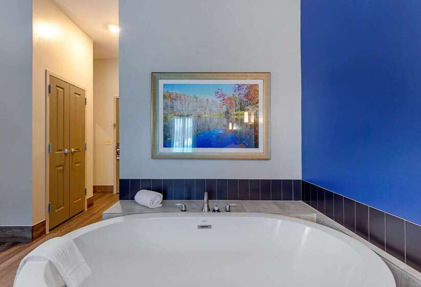 Отель Comfort Inn & Suites East Ellijay