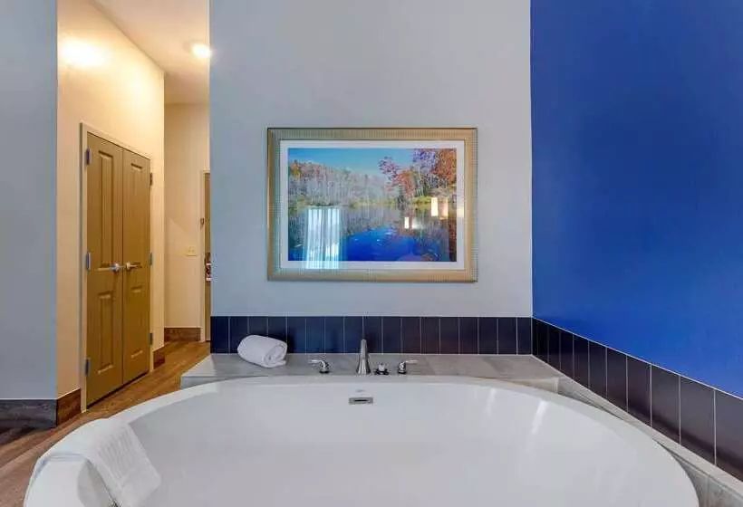 ホテル Comfort Inn & Suites East Ellijay