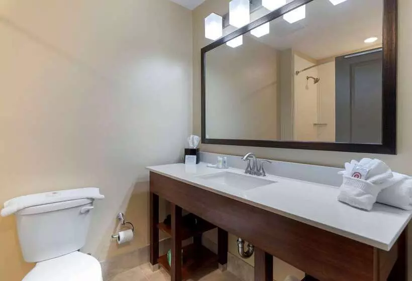 ホテル Comfort Inn & Suites East Ellijay