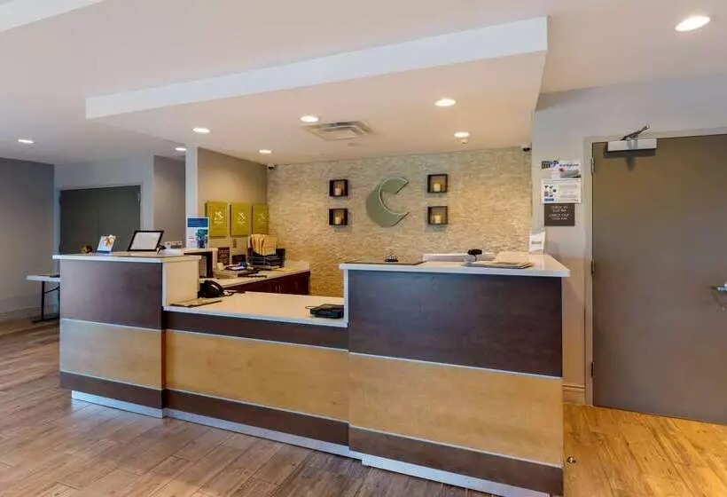 ホテル Comfort Inn & Suites East Ellijay