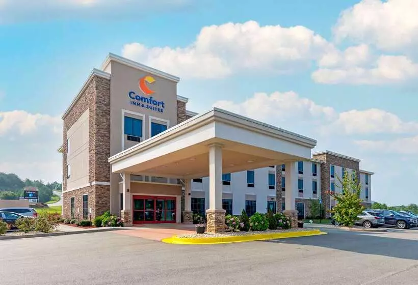 ホテル Comfort Inn & Suites East Ellijay