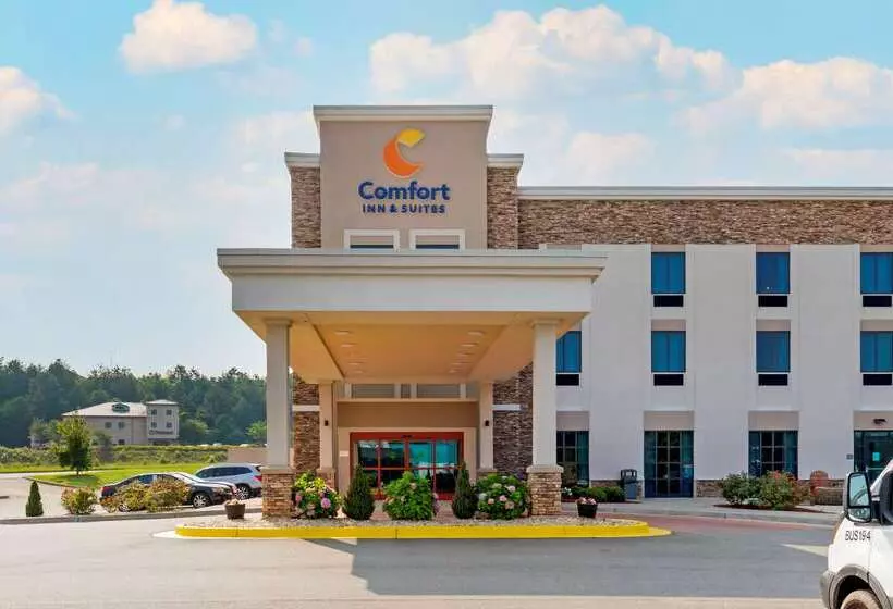 ホテル Comfort Inn & Suites East Ellijay