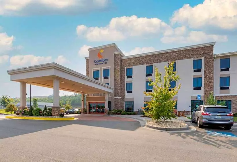 ホテル Comfort Inn & Suites East Ellijay
