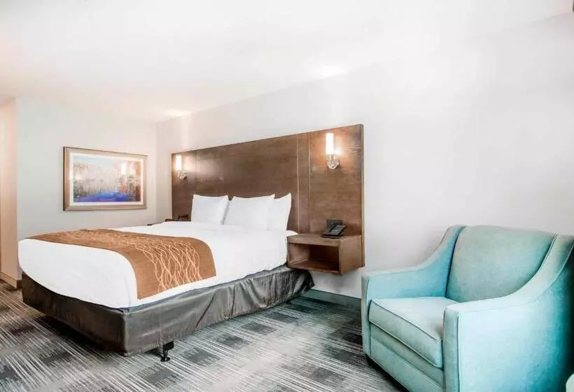 ホテル Comfort Inn & Suites East Ellijay