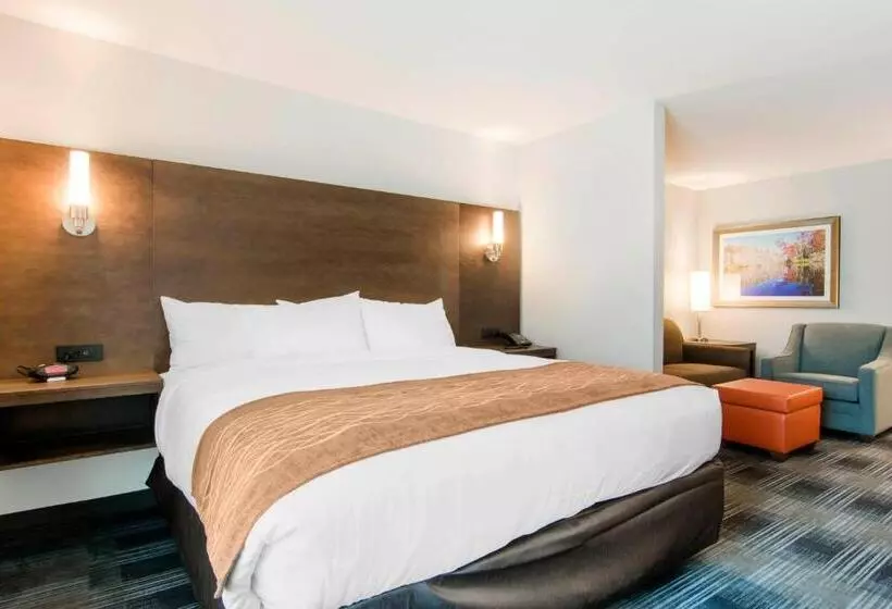 ホテル Comfort Inn & Suites East Ellijay