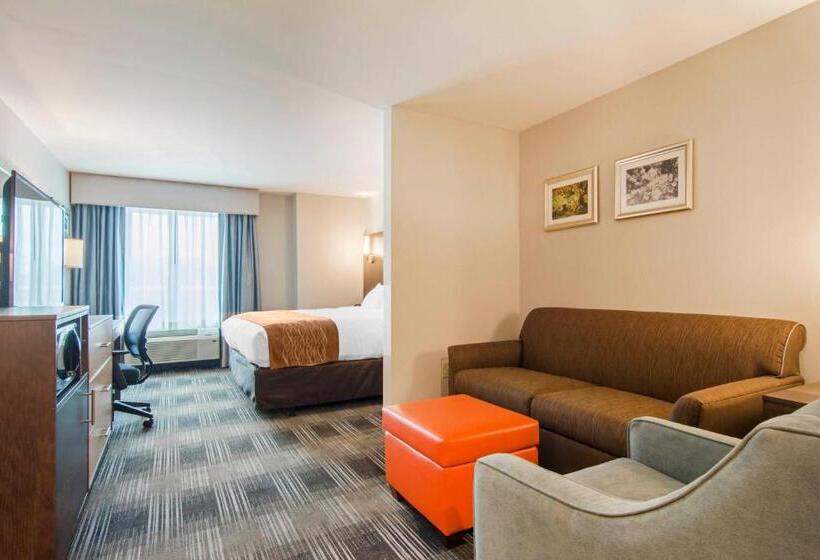 Отель Comfort Inn & Suites East Ellijay