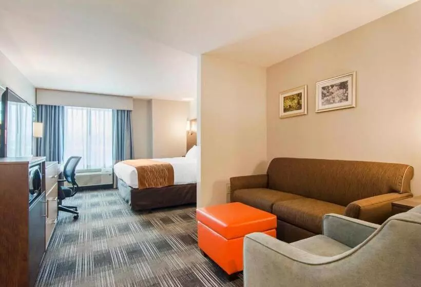 ホテル Comfort Inn & Suites East Ellijay