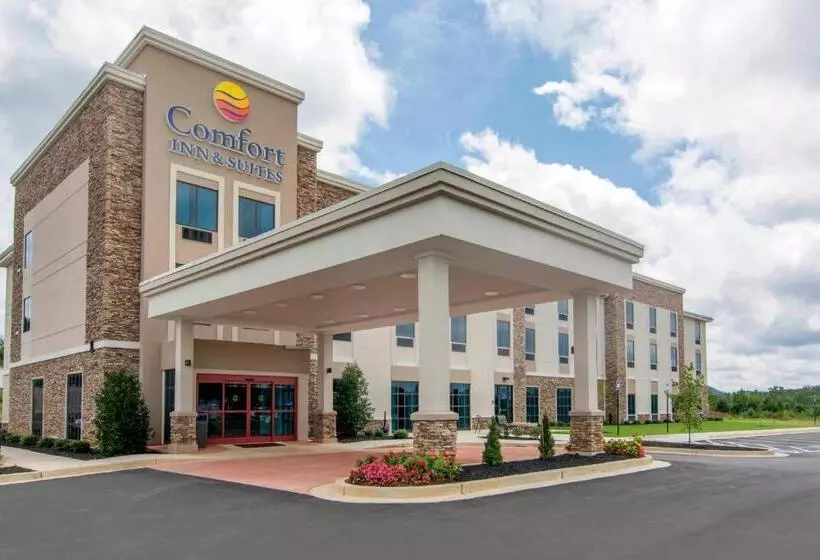 ホテル Comfort Inn & Suites East Ellijay