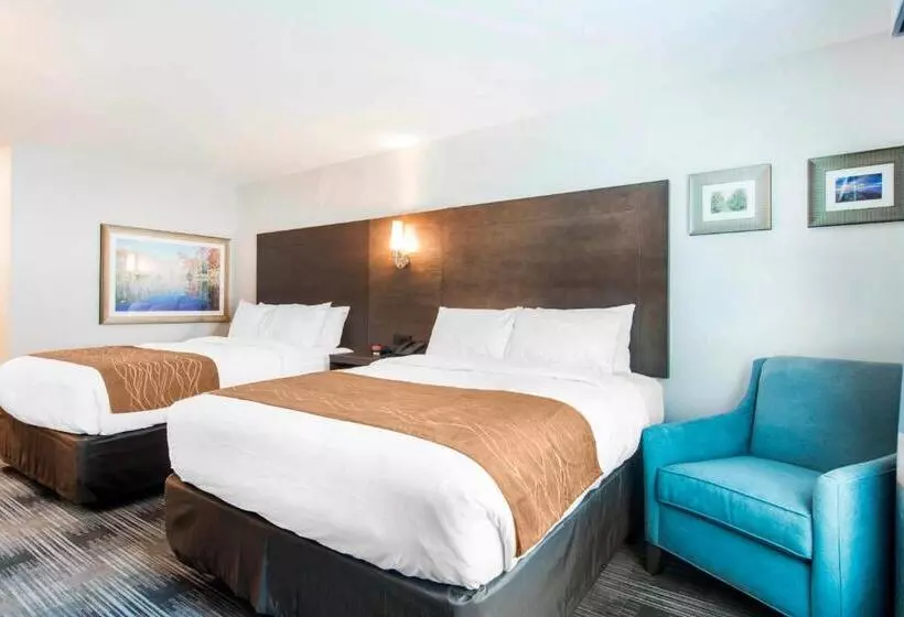 ホテル Comfort Inn & Suites East Ellijay