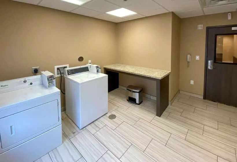 ホテル Comfort Suites Near Sam Houston Race Park