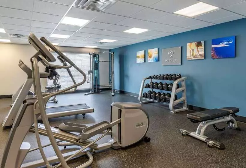 ホテル Comfort Suites Near Sam Houston Race Park
