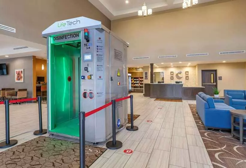 ホテル Comfort Suites Near Sam Houston Race Park