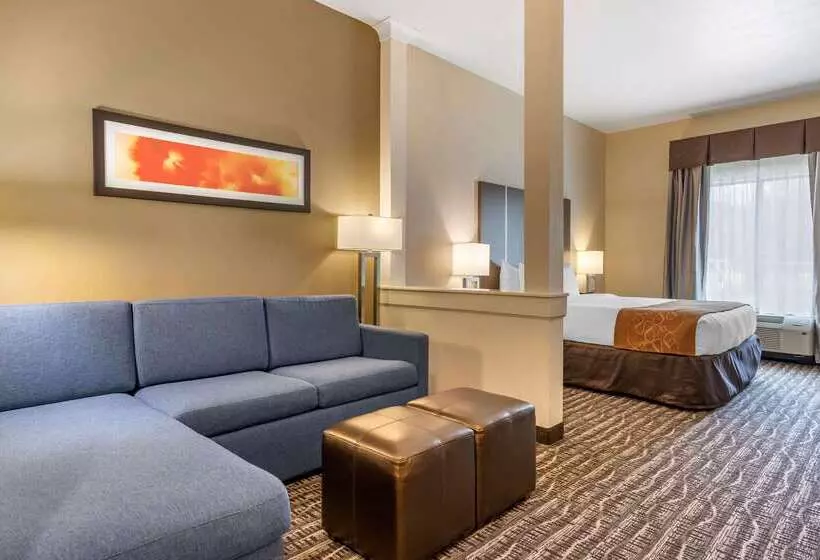 ホテル Comfort Suites Near Sam Houston Race Park