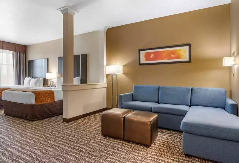 ホテル Comfort Suites Near Sam Houston Race Park