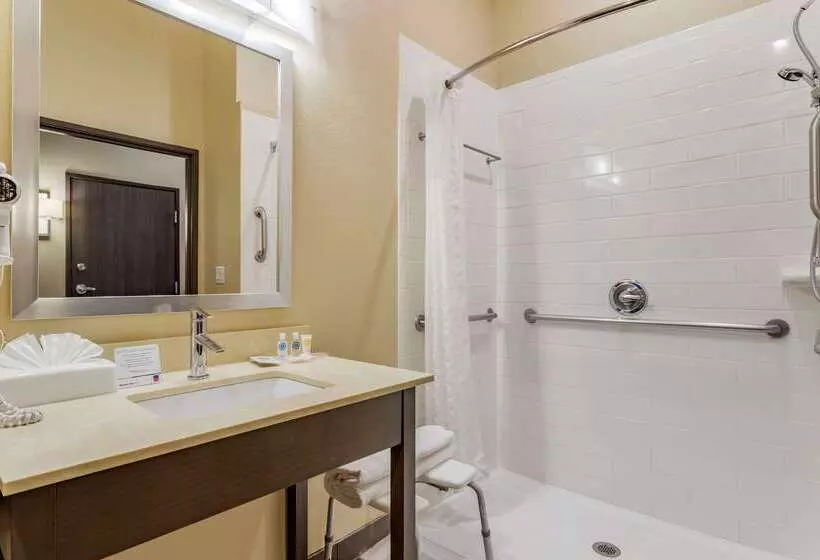 ホテル Comfort Suites Near Sam Houston Race Park